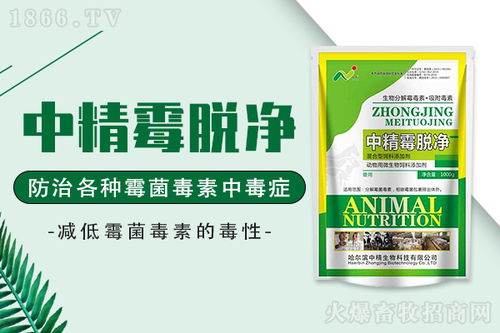 解救霉菌毒素中毒猪 猪群霉菌毒素中毒的原因和防治方法,养猪人快收藏