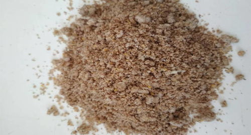 牛羊等反刍动物吃发酵饲料有什么优势