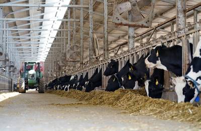 循环链条助推“牛经济”提质增效