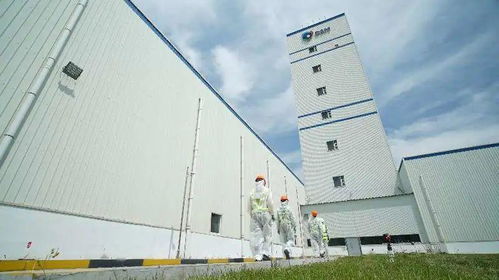 帝斯曼在饲料禁抗与新冠肺炎双重挑战下的创新应对策略